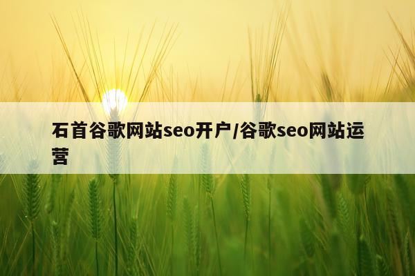 石首谷歌网站seo开户/谷歌seo网站运营