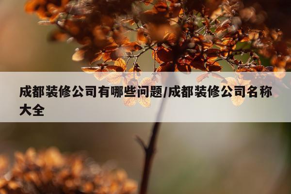 成都装修公司有哪些问题/成都装修公司名称大全