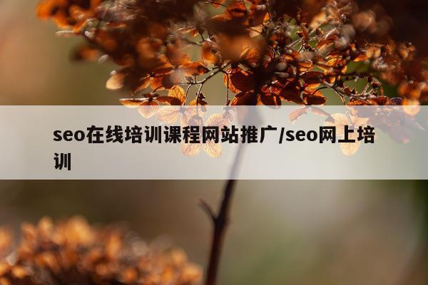 seo在线培训课程网站推广/seo网上培训