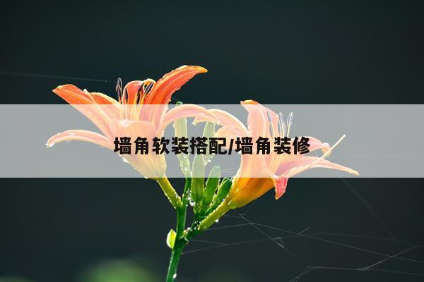墙角软装搭配/墙角装修