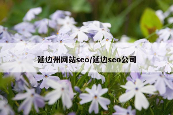 延边州网站seo/延边seo公司