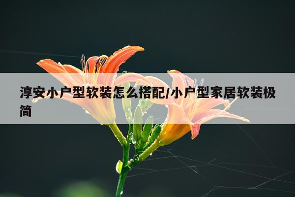 淳安小户型软装怎么搭配/小户型家居软装极简