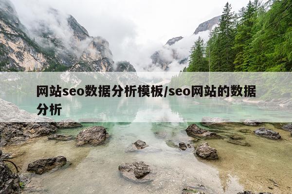 网站seo数据分析模板/seo网站的数据分析
