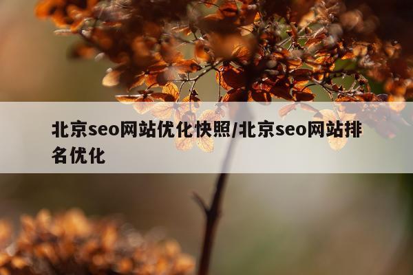 北京seo网站优化快照/北京seo网站排名优化