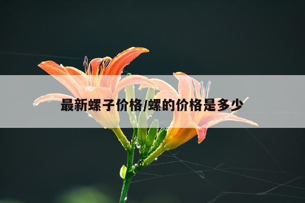 最新螺子价格/螺的价格是多少