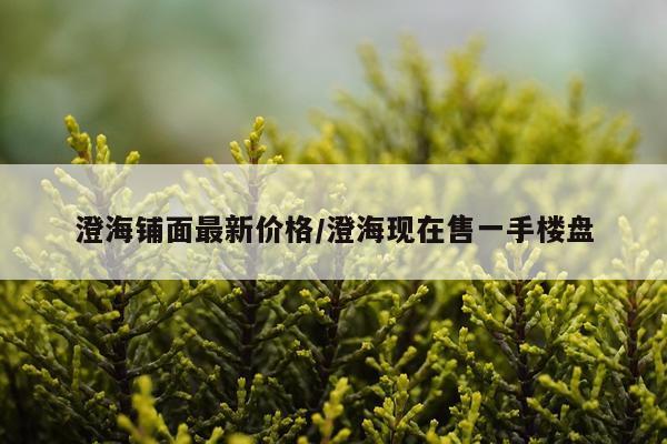 澄海铺面最新价格/澄海现在售一手楼盘