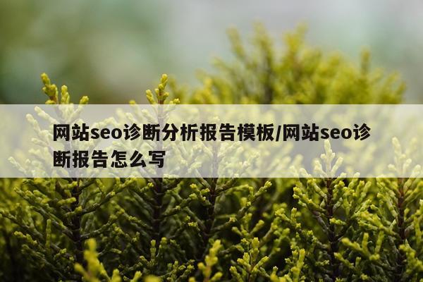 网站seo诊断分析报告模板/网站seo诊断报告怎么写