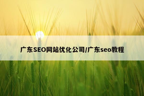 广东SEO网站优化公司/广东seo教程