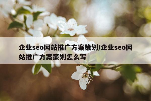 企业seo网站推广方案策划/企业seo网站推广方案策划怎么写