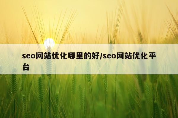 seo网站优化哪里的好/seo网站优化平台