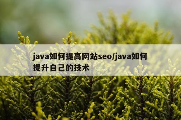 java如何提高网站seo/java如何提升自己的技术