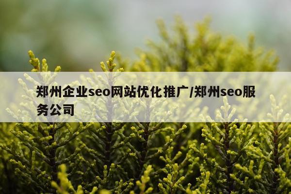 郑州企业seo网站优化推广/郑州seo服务公司