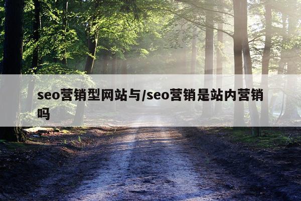 seo营销型网站与/seo营销是站内营销吗