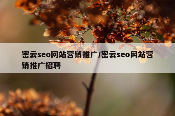 密云seo网站营销推广/密云seo网站营销推广招聘