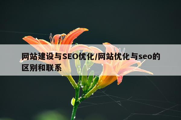 网站建设与SEO优化/网站优化与seo的区别和联系