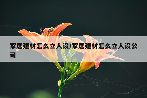 家居建材怎么立人设/家居建材怎么立人设公司