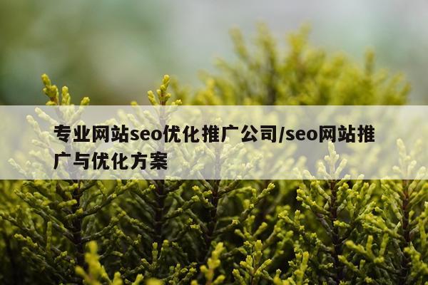 专业网站seo优化推广公司/seo网站推广与优化方案