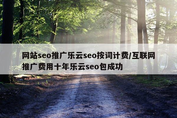 网站seo推广乐云seo按词计费/互联网推广费用十年乐云seo包成功