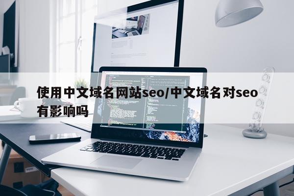 使用中文域名网站seo/中文域名对seo有影响吗