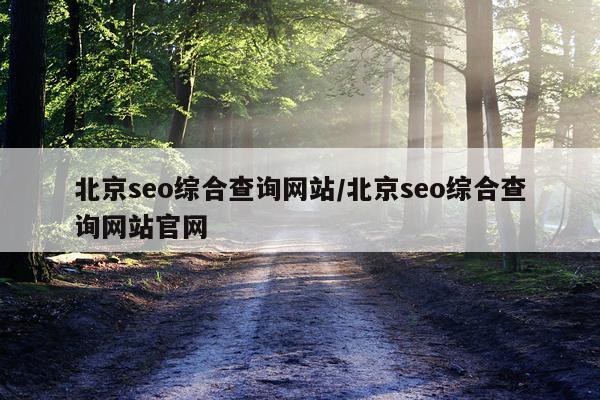 北京seo综合查询网站/北京seo综合查询网站官网