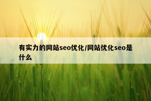 有实力的网站seo优化/网站优化seo是什么
