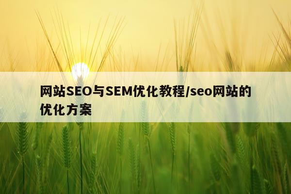 网站SEO与SEM优化教程/seo网站的优化方案