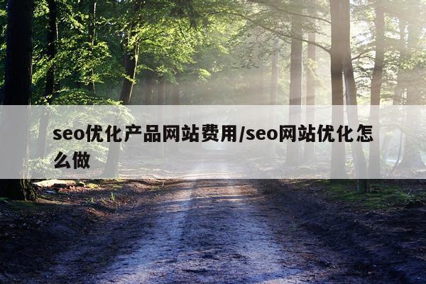 seo优化产品网站费用/seo网站优化怎么做