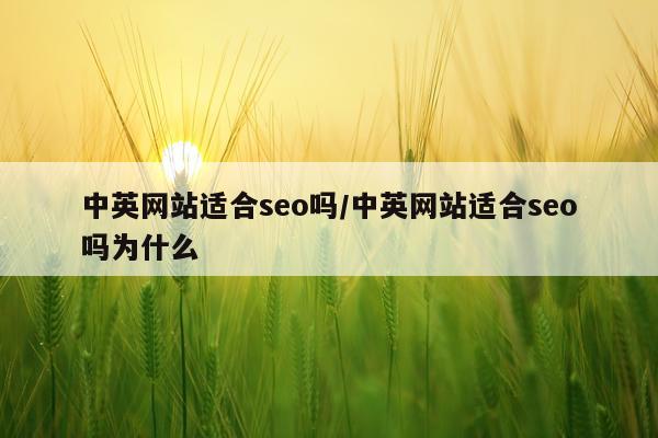 中英网站适合seo吗/中英网站适合seo吗为什么