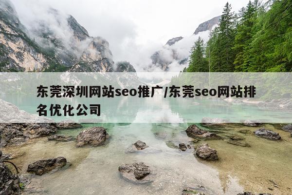 东莞深圳网站seo推广/东莞seo网站排名优化公司