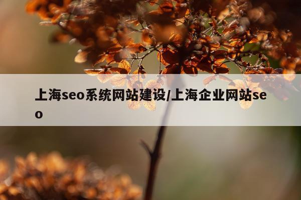 上海seo系统网站建设/上海企业网站seo