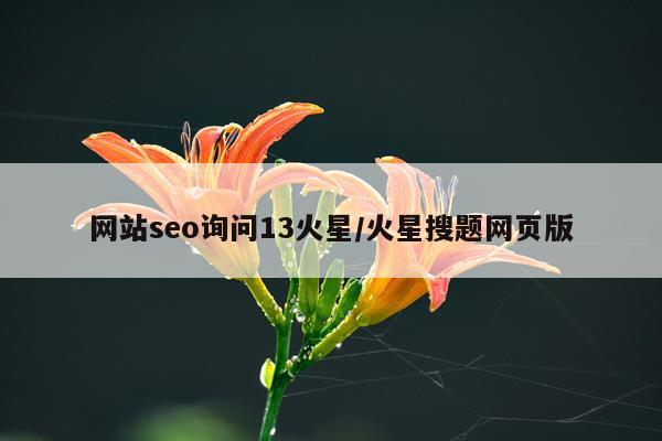 网站seo询问13火星/火星搜题网页版