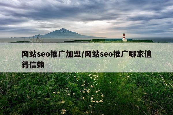 网站seo推广加盟/网站seo推广哪家值得信赖