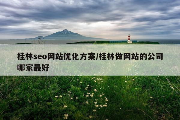 桂林seo网站优化方案/桂林做网站的公司哪家最好