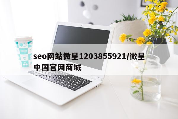 seo网站微星1203855921/微星中国官网商城