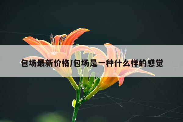 包场最新价格/包场是一种什么样的感觉