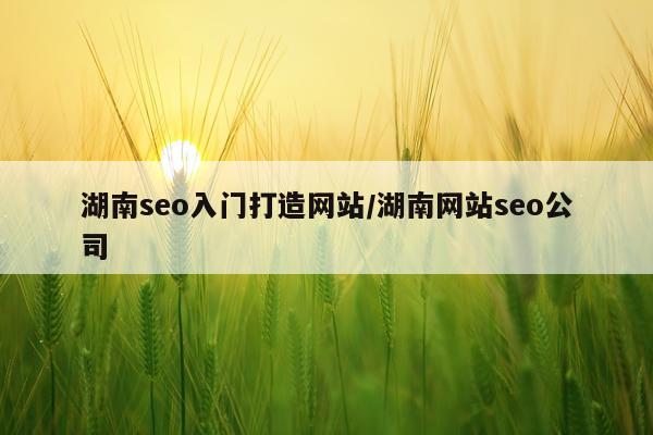 湖南seo入门打造网站/湖南网站seo公司