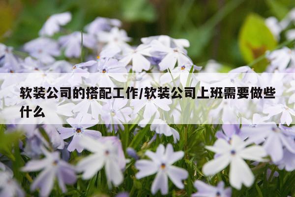 软装公司的搭配工作/软装公司上班需要做些什么