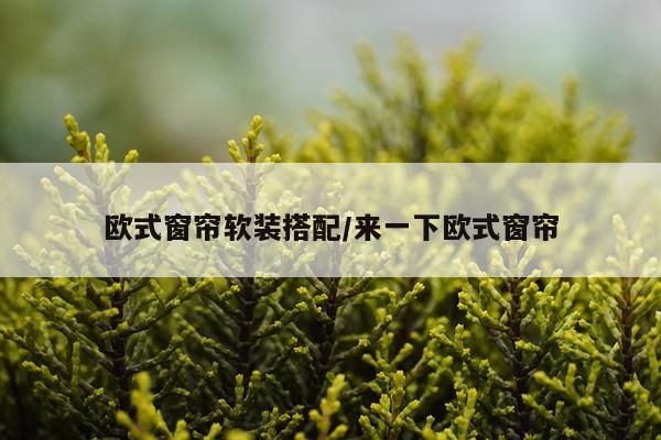 欧式窗帘软装搭配/来一下欧式窗帘