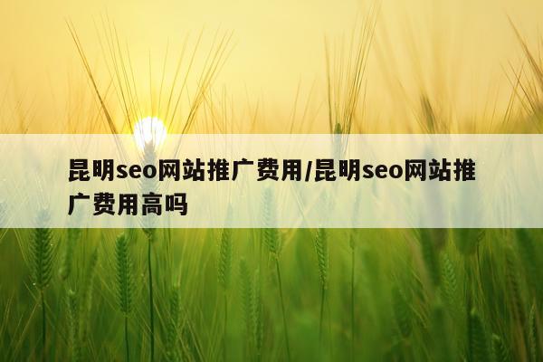 昆明seo网站推广费用/昆明seo网站推广费用高吗