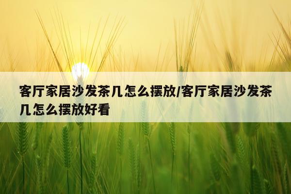 客厅家居沙发茶几怎么摆放/客厅家居沙发茶几怎么摆放好看