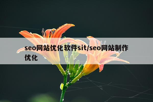 seo网站优化软件sit/seo网站制作优化