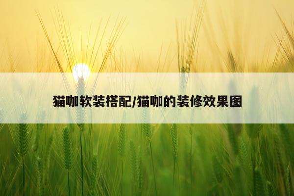 猫咖软装搭配/猫咖的装修效果图