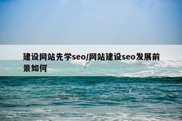 建设网站先学seo/网站建设seo发展前景如何