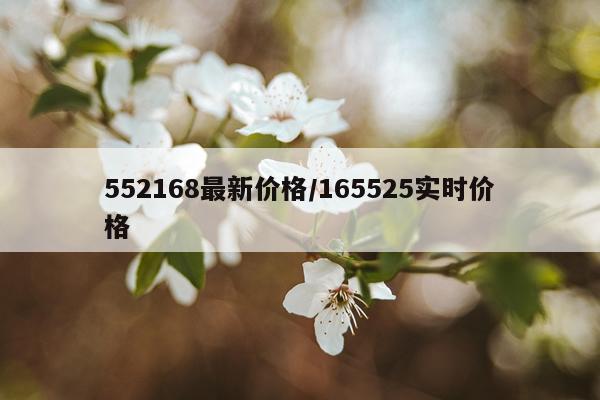 552168最新价格/165525实时价格