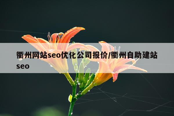 衢州网站seo优化公司报价/衢州自助建站seo