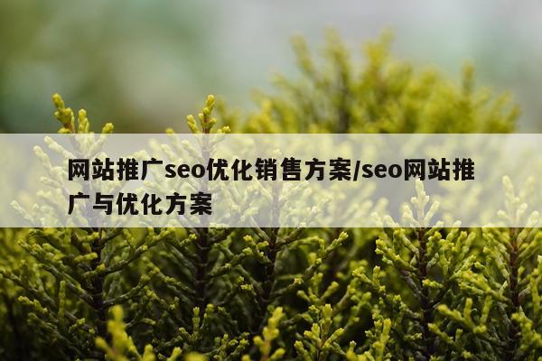 网站推广seo优化销售方案/seo网站推广与优化方案