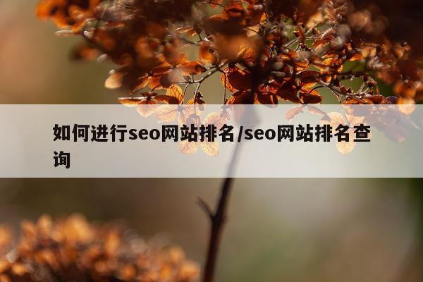 如何进行seo网站排名/seo网站排名查询