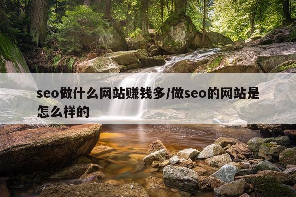 seo做什么网站赚钱多/做seo的网站是怎么样的