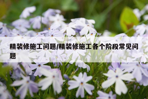 精装修施工问题/精装修施工各个阶段常见问题