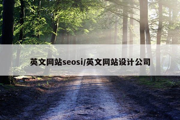 英文网站seosi/英文网站设计公司
